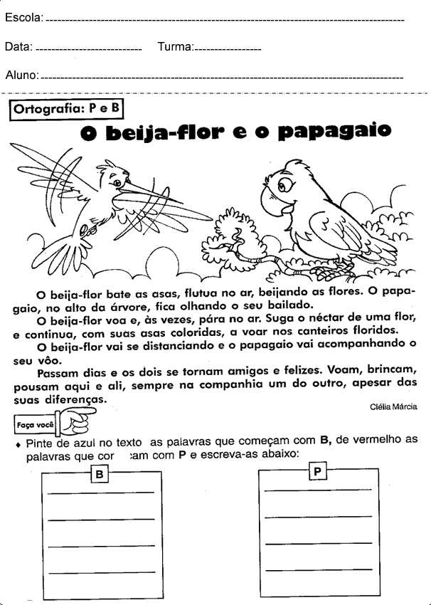 Atividades de Português 4º ano – Texto do beija flor e o papagaio
