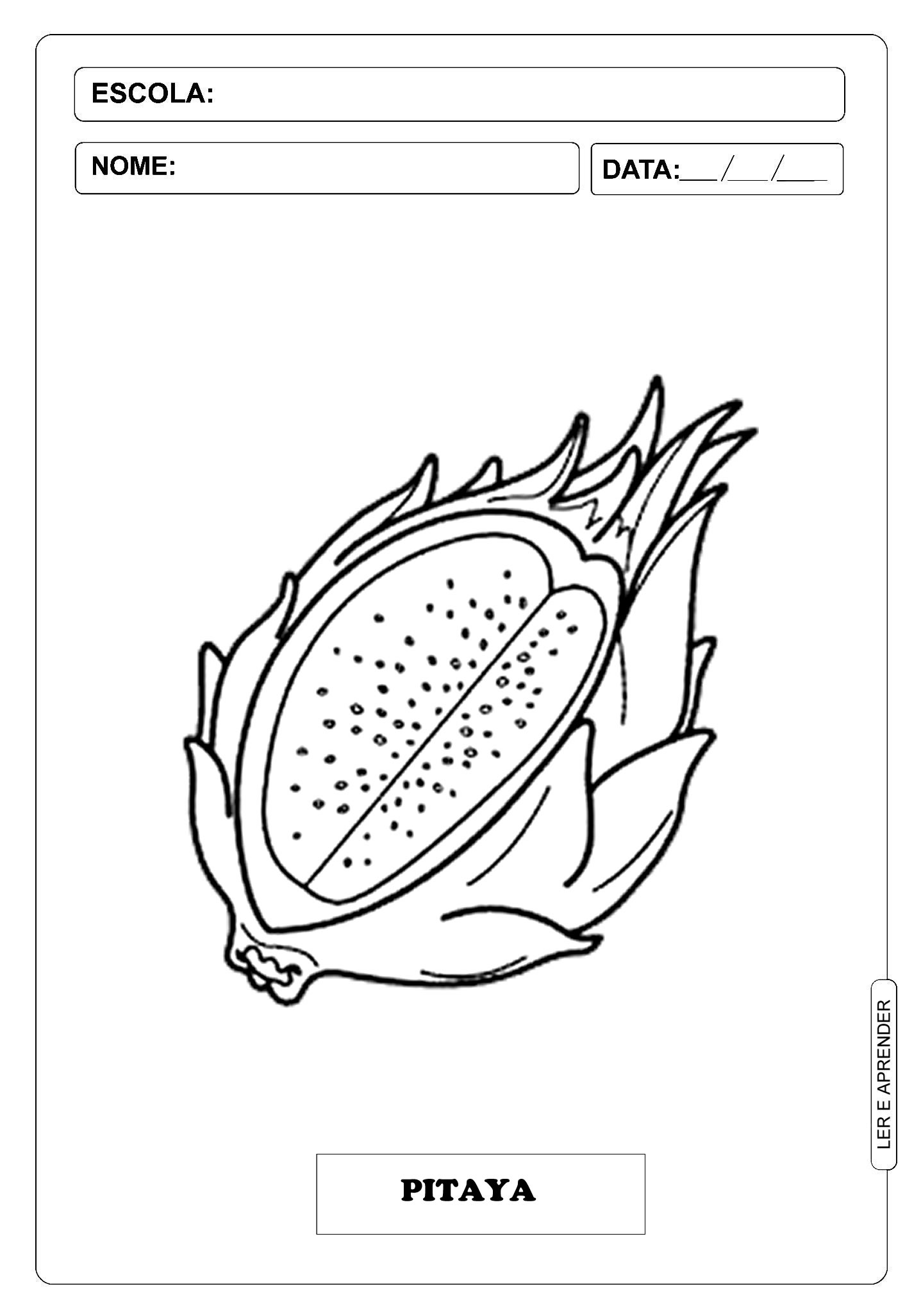 Frutas desenho – Pitaya