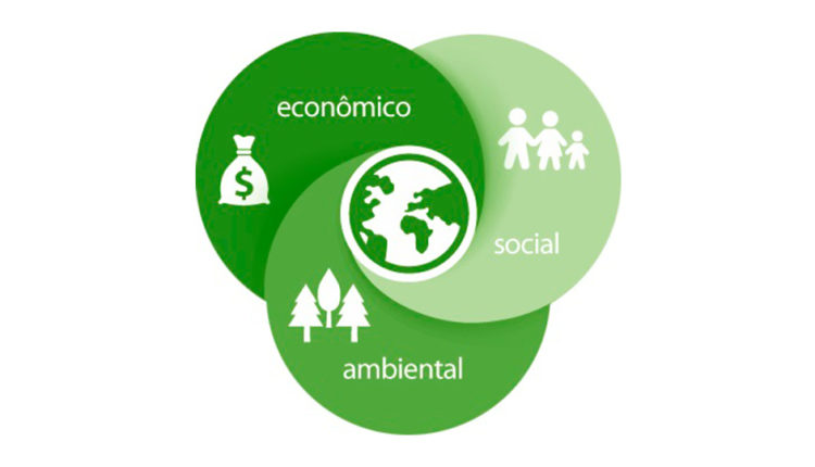 Sustentabilidade - O Que é, Tipos De Sustentabilidade, Exemplos