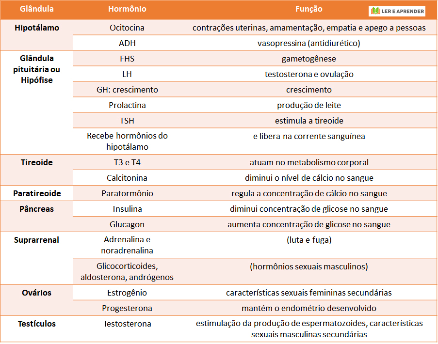 Sistema endócrino - Tabela de glândulas e hormônios