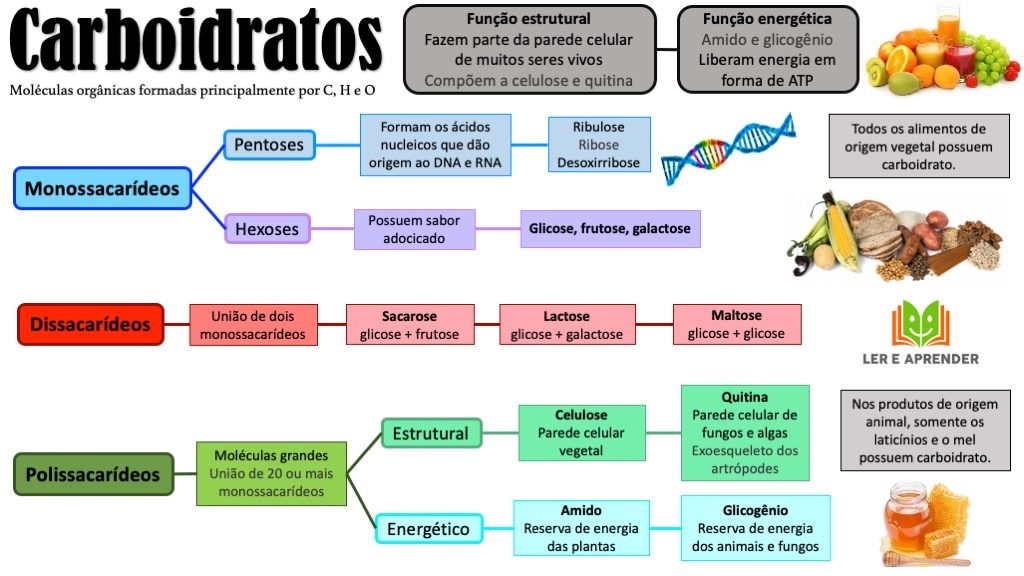 Mapa mental - Carboidratos