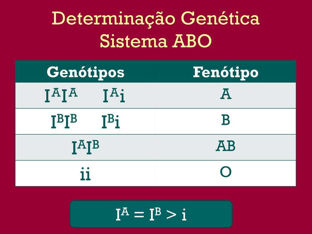 Sistema ABO - Genótipos e fenótipos dos tipos sanguíneos.