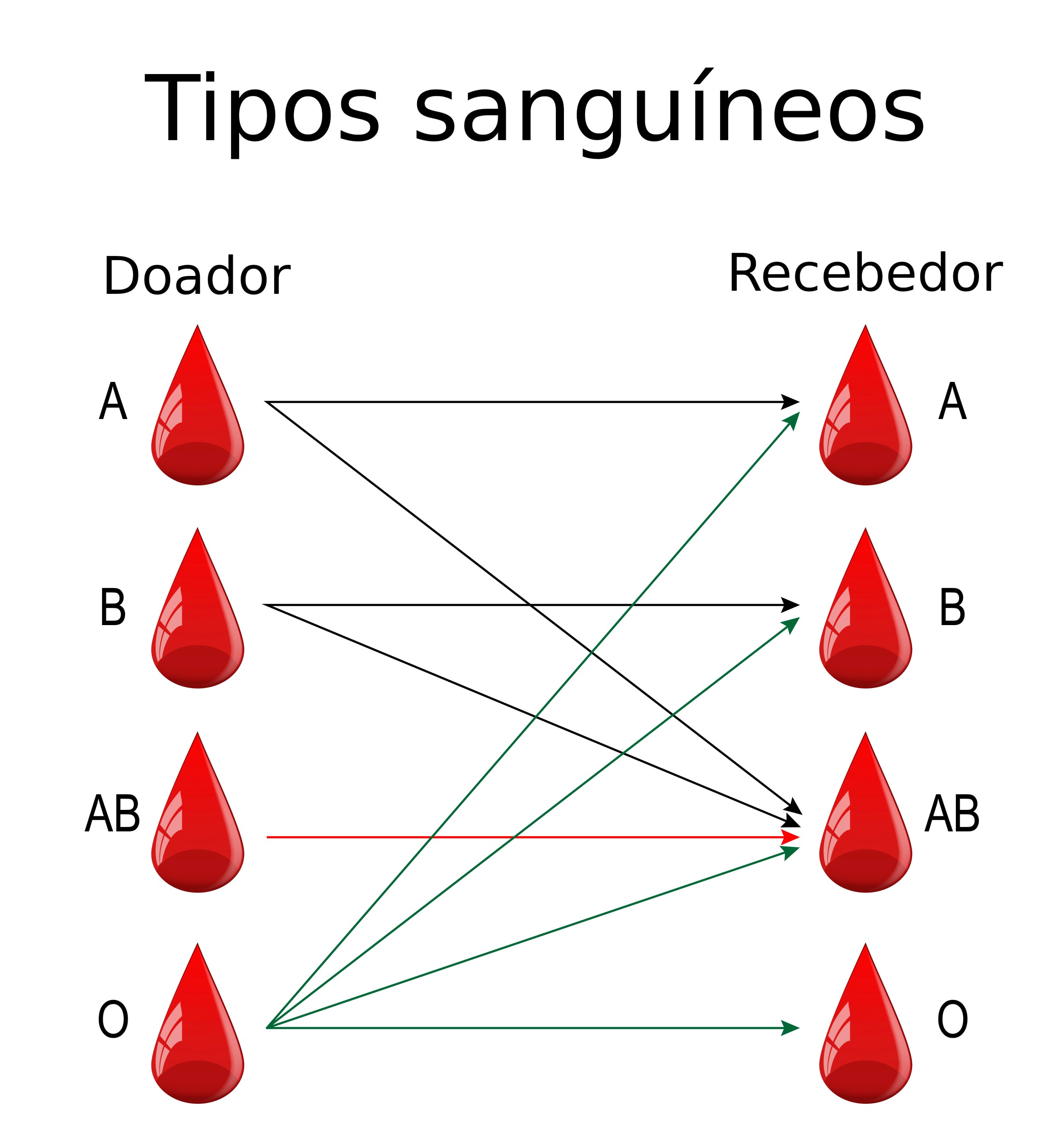 Sistema ABO – Doadores e receptores de sangue