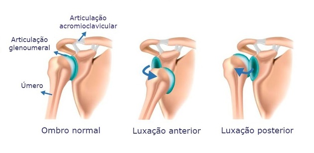 Sistema articular - Articulações do ombro