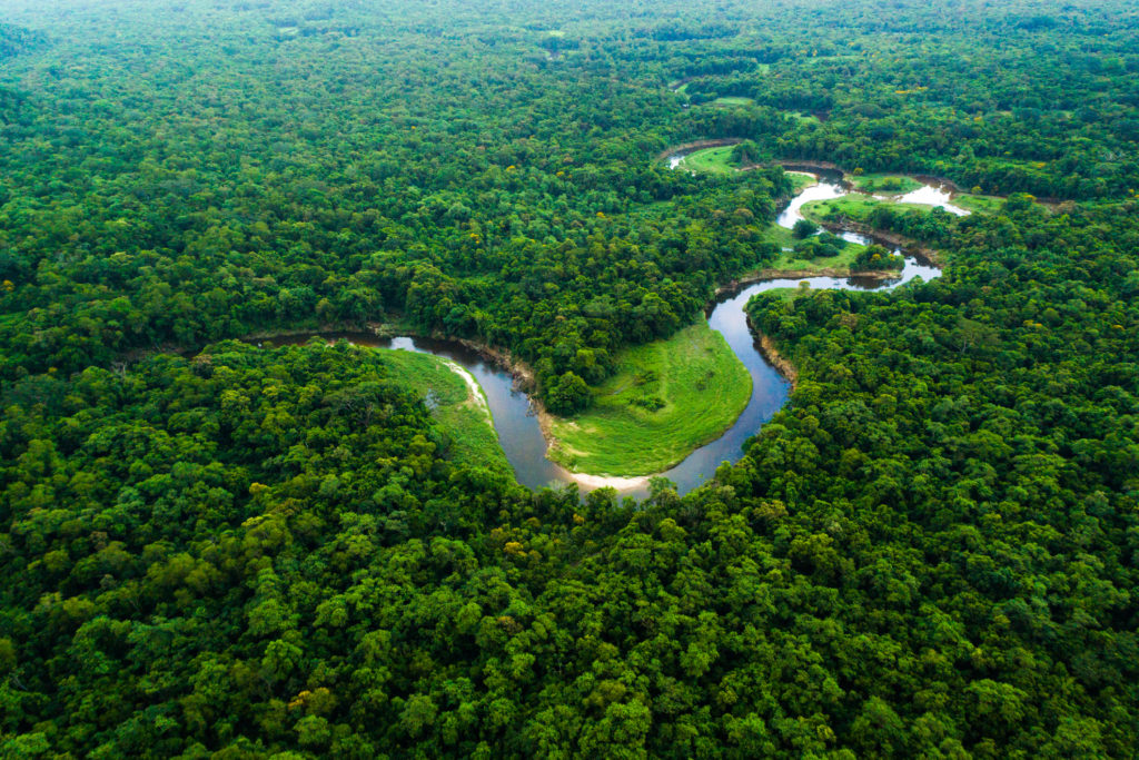 O que é bioma - Amazônia