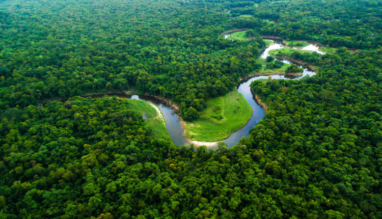 O que é bioma - Amazônia
