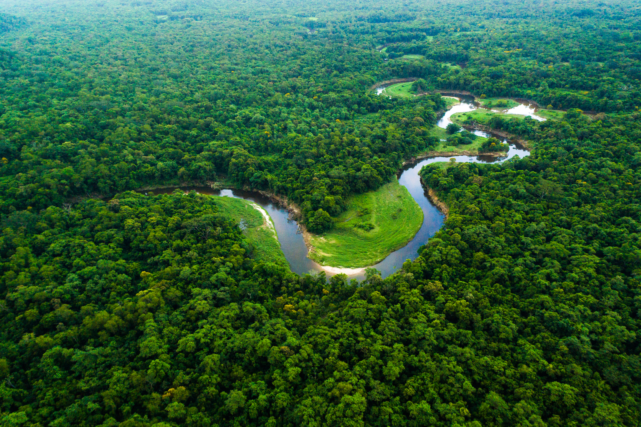 O que é bioma – Amazônia