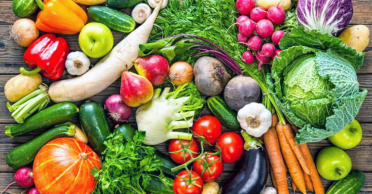 Herbívoros – Alimentos de origem vegetal